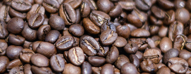 Kaffee­maschinen bei MVD-Elektro in Hafenlohr-Windheim